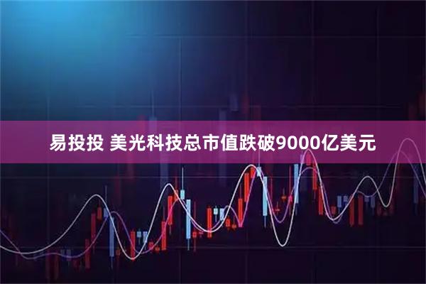 易投投 美光科技总市值跌破9000亿美元