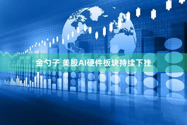 金勺子 美股AI硬件板块持续下挫